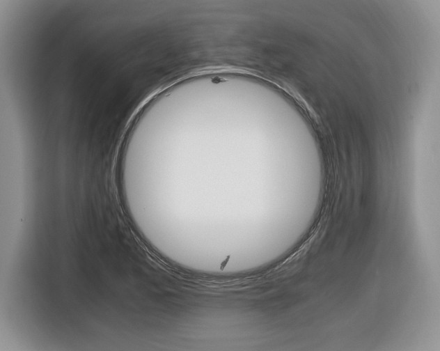 X0000116681173200912140959