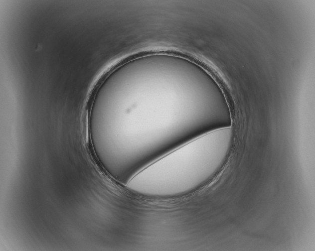 X0000116681175200912140959