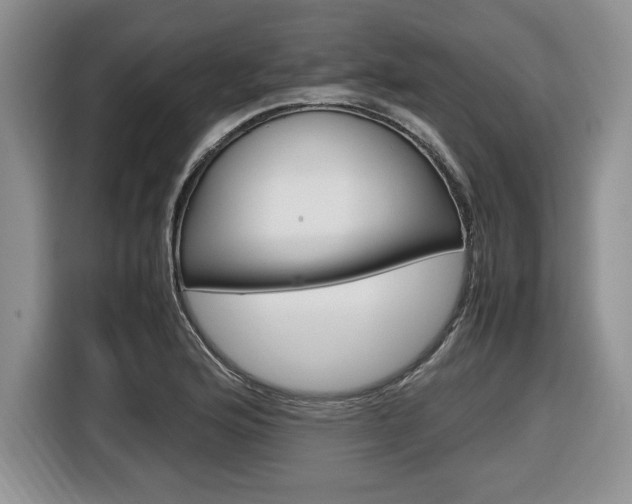 X0000116681176200912140959
