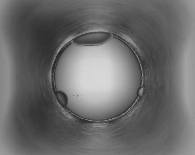 X0000116681181200912140959