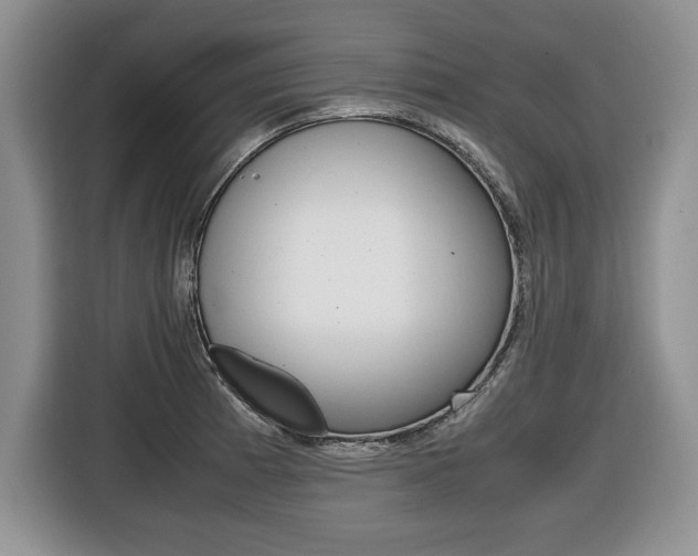 X0000116681185200912140959