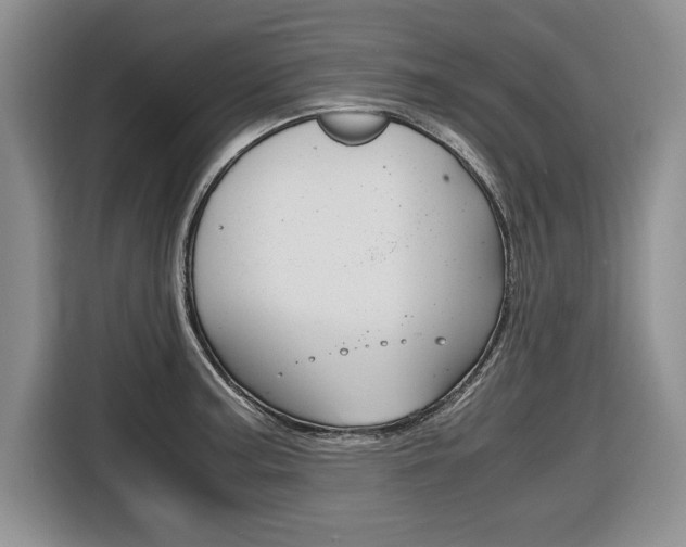 X0000116681187200912140959