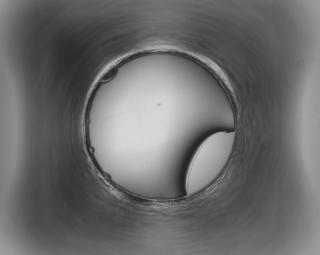 X0000116681191200912140959