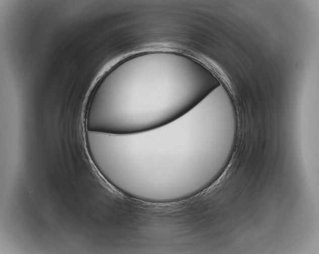 X0000116681192200912140959