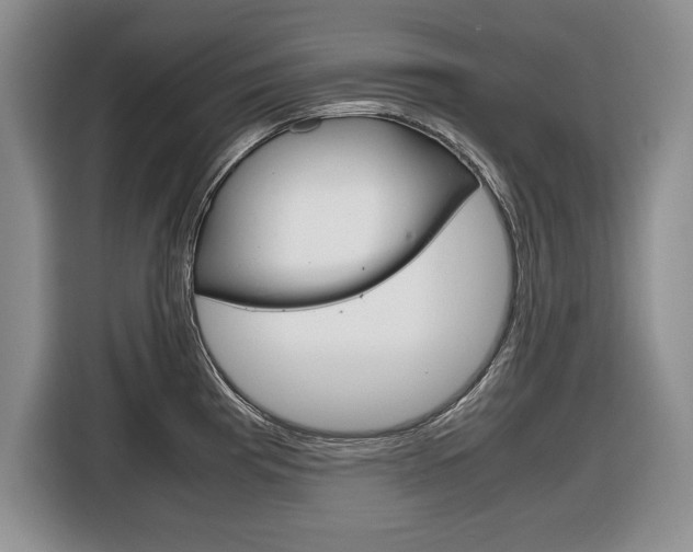 X0000116681193200912140959