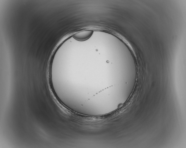 X0000116681195200912140959