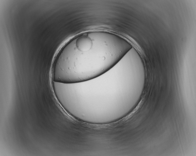 X0000116681196200912140959