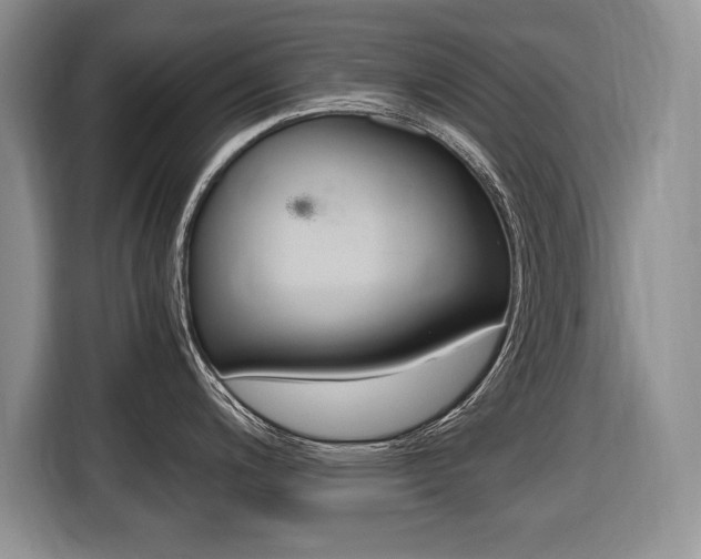 X0000116681200200912140959