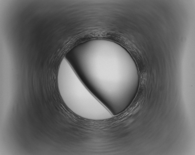 X0000116681202200912140958