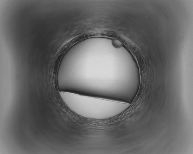 X0000116681206200912140958