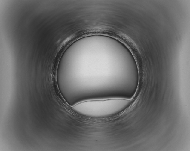 X0000116681210200912140958