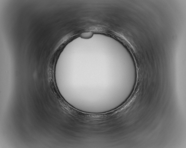 X0000116681211200912140958