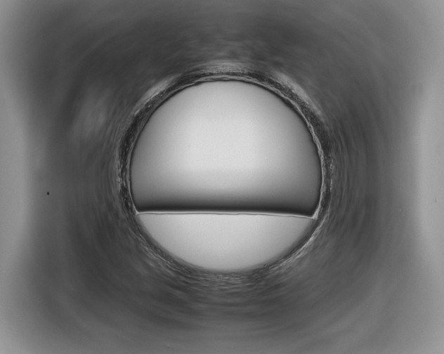 X0000116681213200912140958