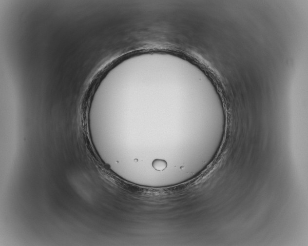X0000116681215200912140958