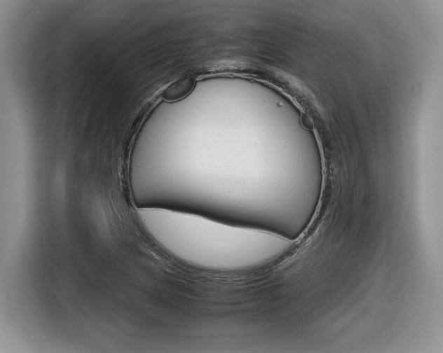 X0000116681217200912140958