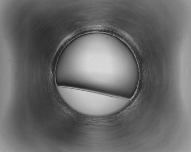 X0000116681218200912140958