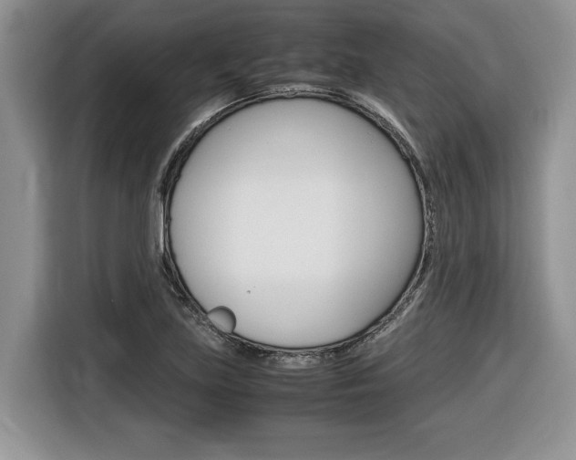 X0000116681219200912140958