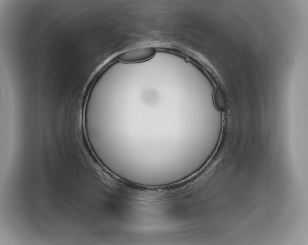 X0000116681220200912140958