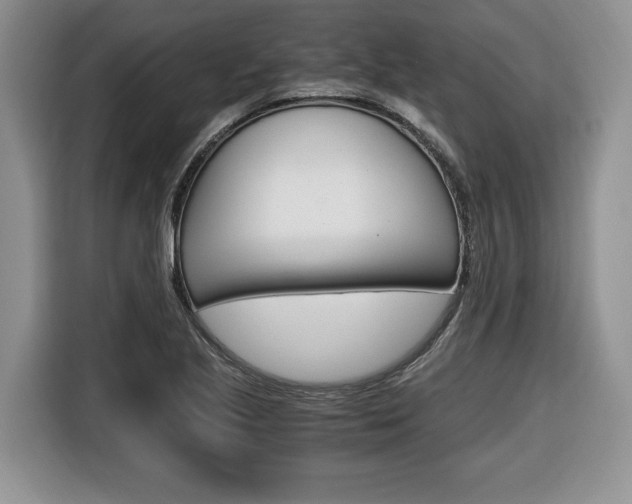X0000116681221200912140958