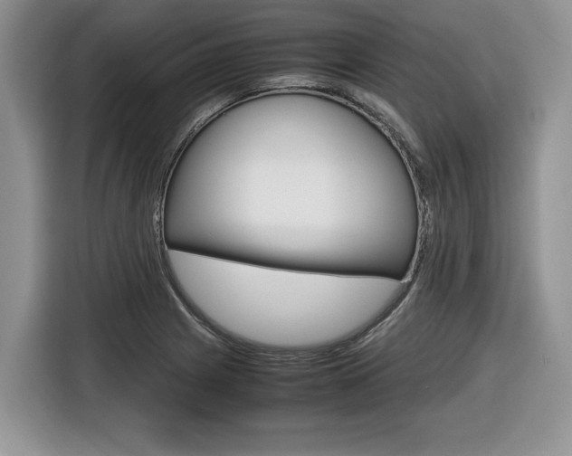 X0000116681225200912140959