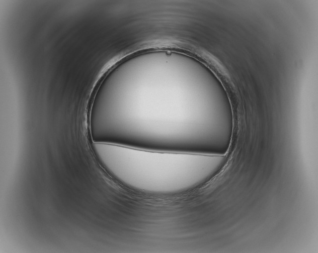 X0000116681226200912140959