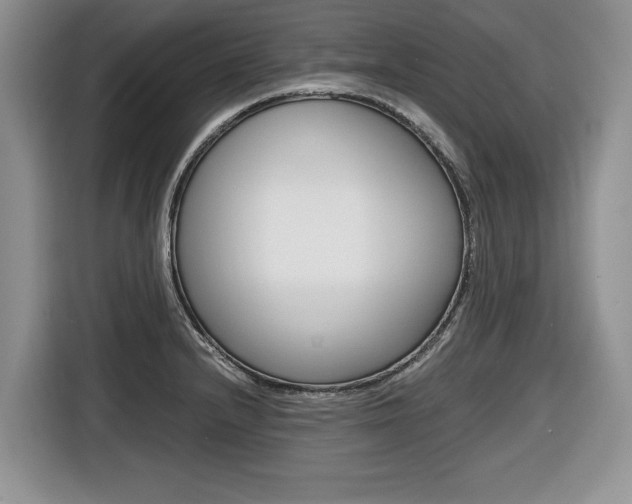 X0000116681232200912140959