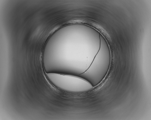 X0000116681233200912140959