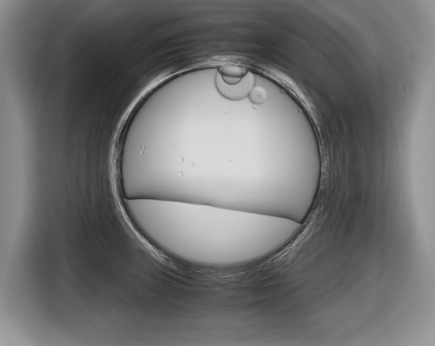 X0000116681235200912140959
