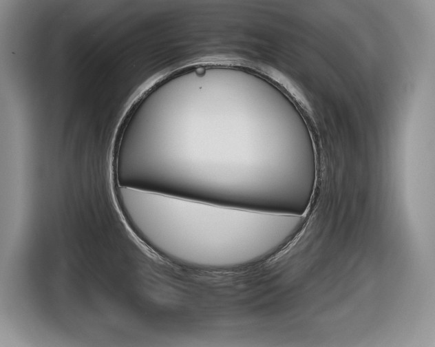 X0000116681237200912140959