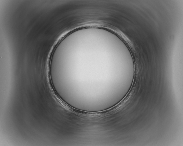 X0000116681240200912140959