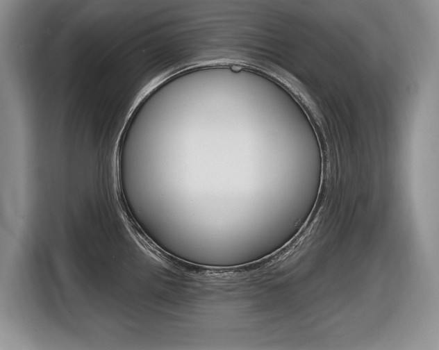 X0000116681242200912140959