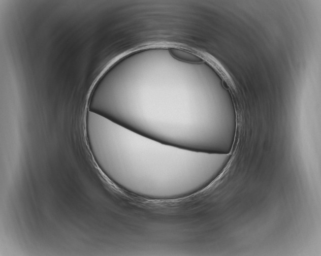 X0000116681244200912140959