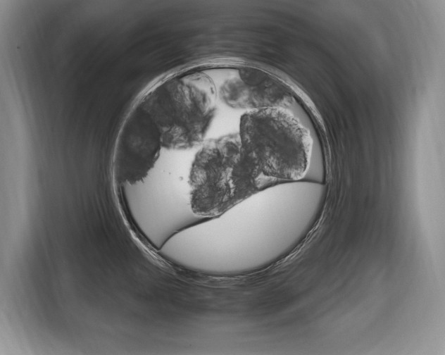 X0000116681245200912140959