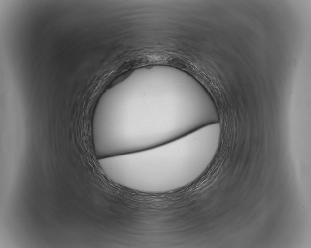 X0000116681249200912140958