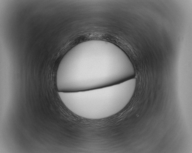X0000116681250200912140958