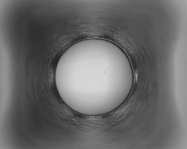 X0000116681251200912140958