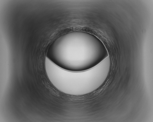 X0000116681252200912140958
