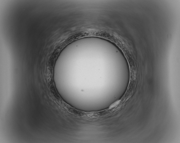 X0000116681253200912140958