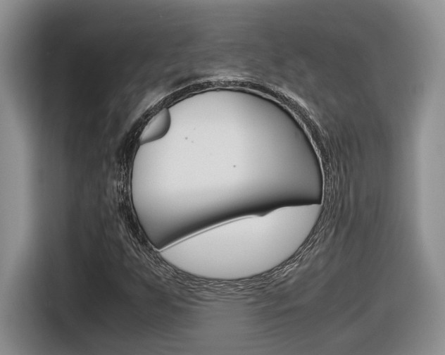 X0000116681255200912140958