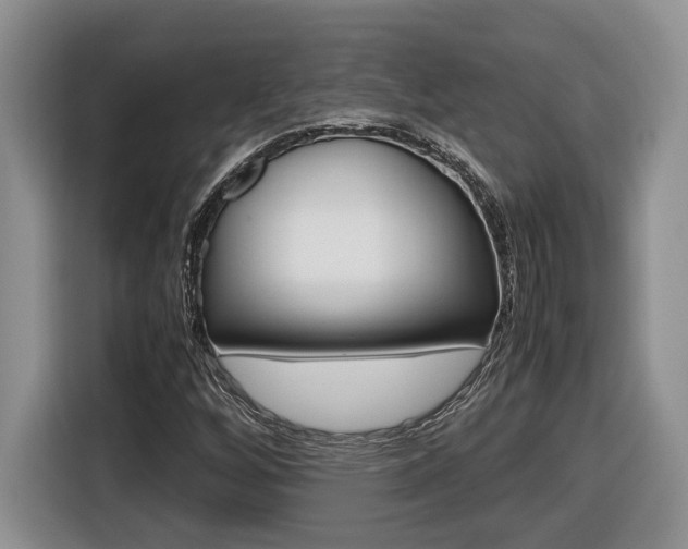 X0000116681256200912140958