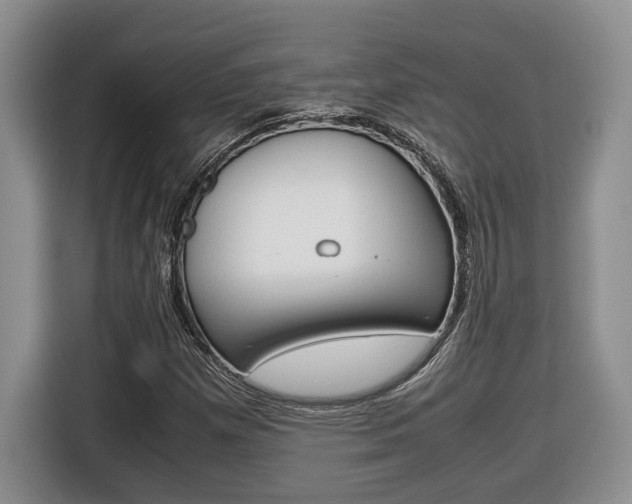 X0000116681257200912140958