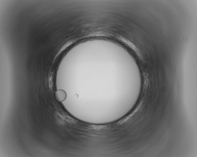 X0000116681258200912140958