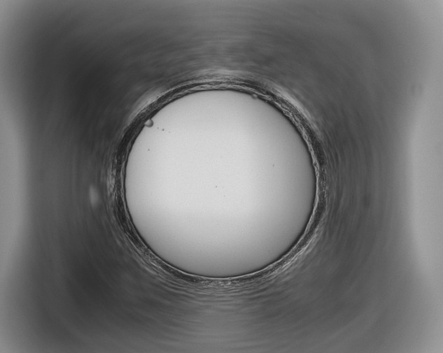 X0000116681259200912140958