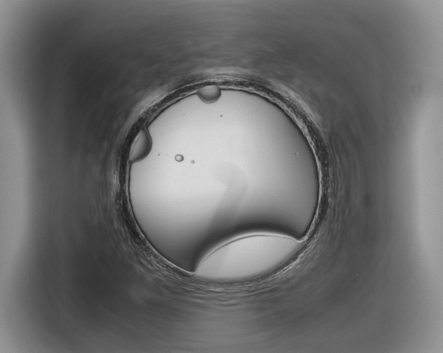 X0000116681261200912140958