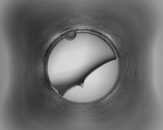 X0000116681263200912140958
