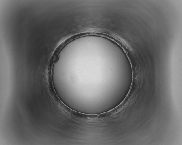 X0000116681264200912140958
