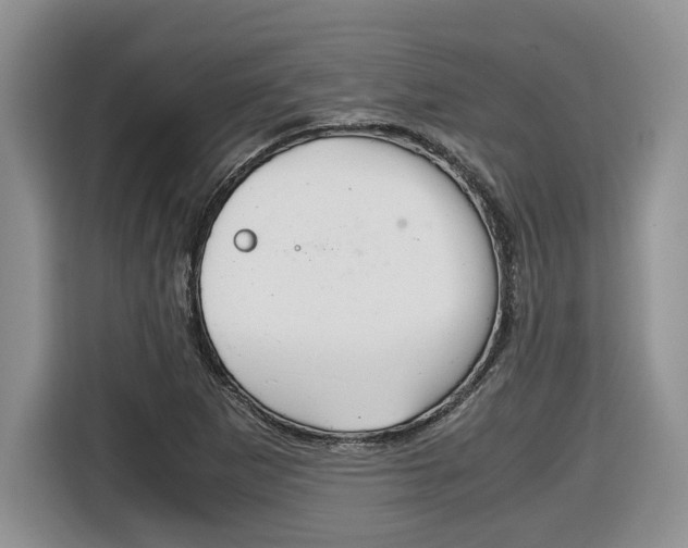 X0000116681265200912140958
