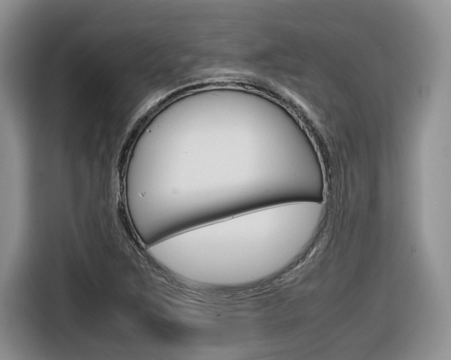 X0000116681267200912140958