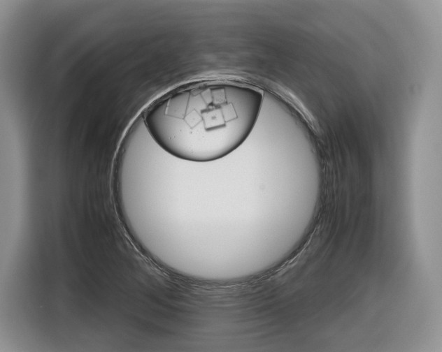 X0000116681268200912140958