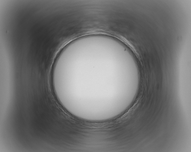 X0000116681269200912140958